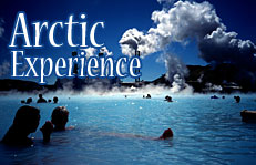 Arctic Experience
