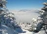 Fantastic Scenery